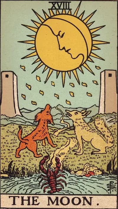 The Moon tarot card